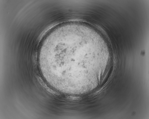 X0000114600831200911301421