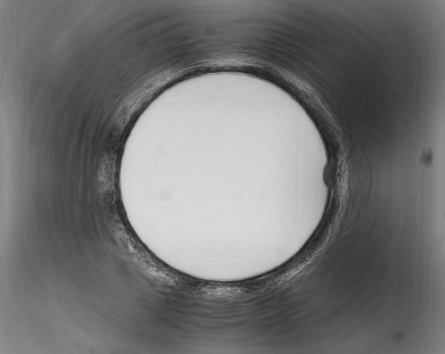 X0000114600833200911301421