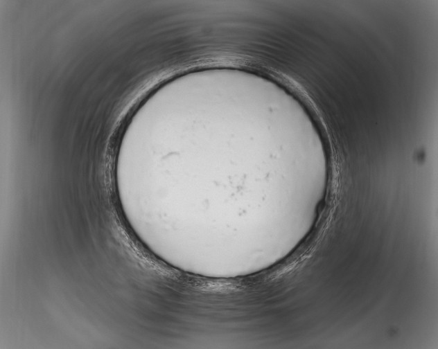 X0000114600835200911301421