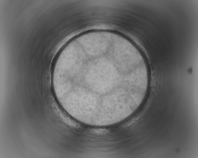 X0000114600837200911301421