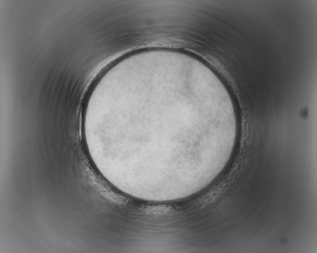 X0000114600838200911301421