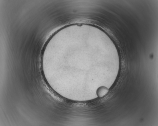 X0000114600846200911301421