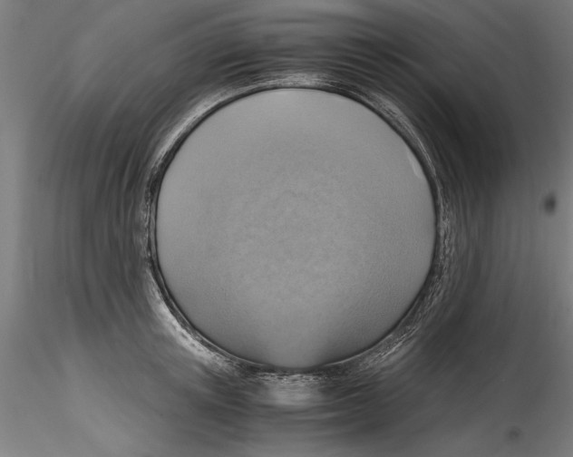 X0000114600851200911301421