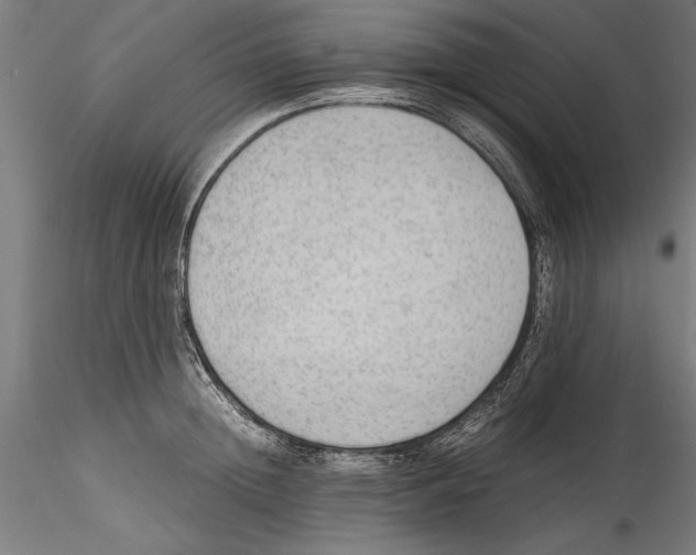 X0000114600852200911301421