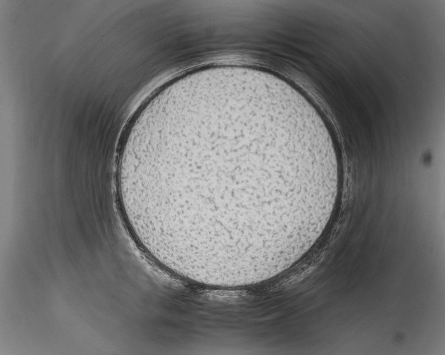 X0000114600853200911301421