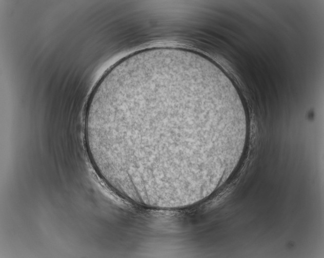 X0000114600854200911301421