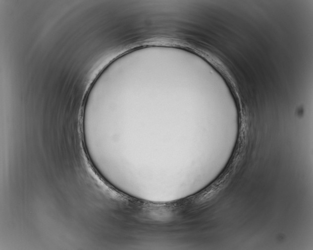 X0000114600855200911301421