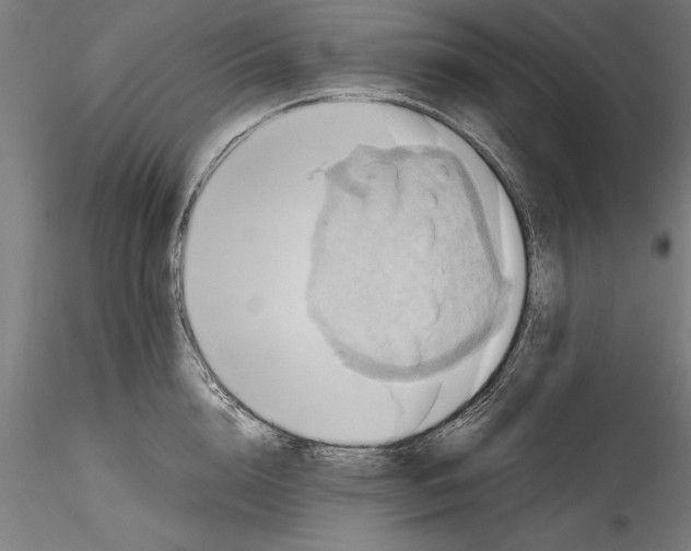 X0000114600856200911301421