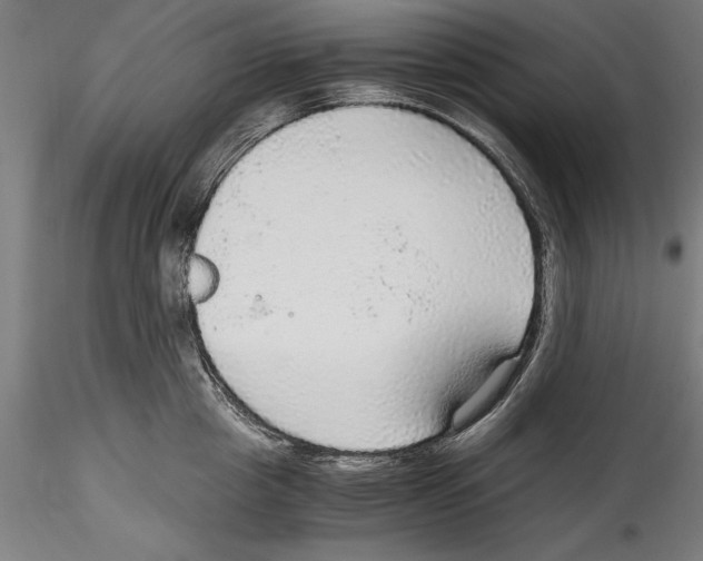 X0000114600857200911301421