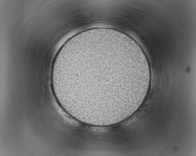 X0000114600861200911301421