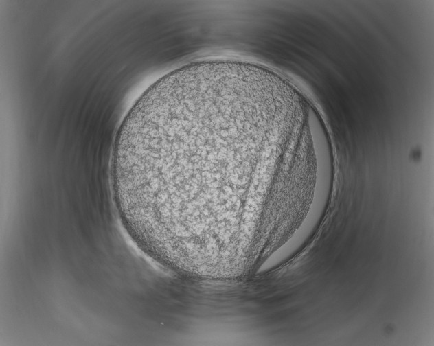 X0000114600863200911301421