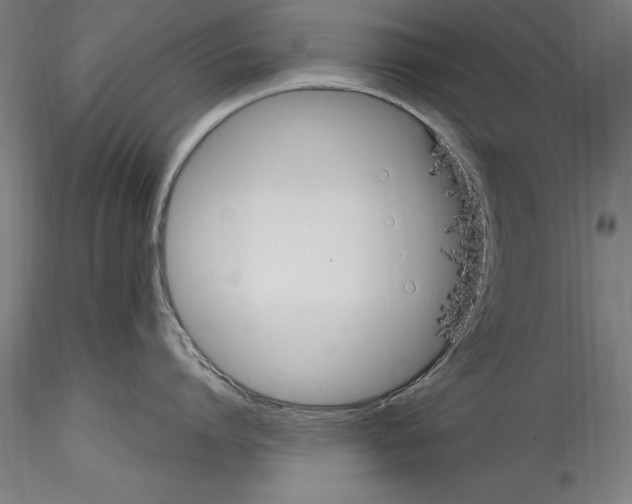 X0000114600864200911301421