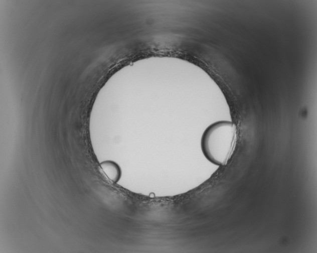 X0000114600865200911301421