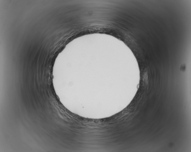 X0000114600868200911301421