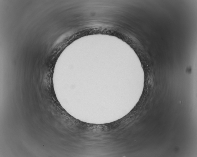 X0000114600869200911301421