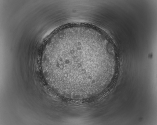 X0000114600871200911301421