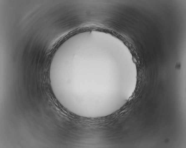 X0000114600872200911301421