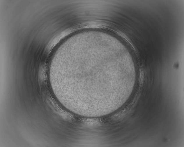 X0000114600874200911301421