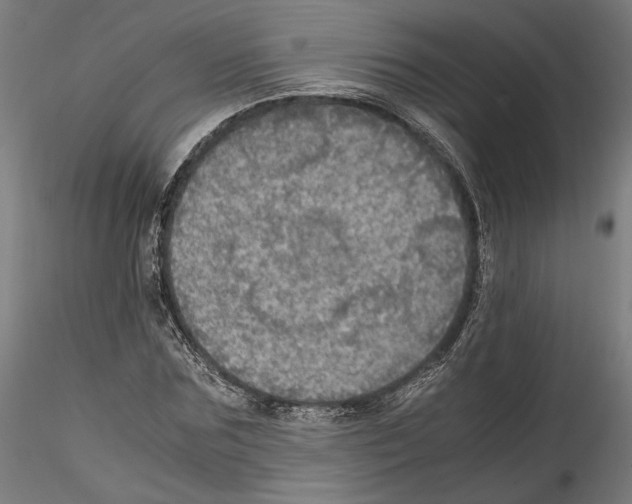 X0000114600875200911301421