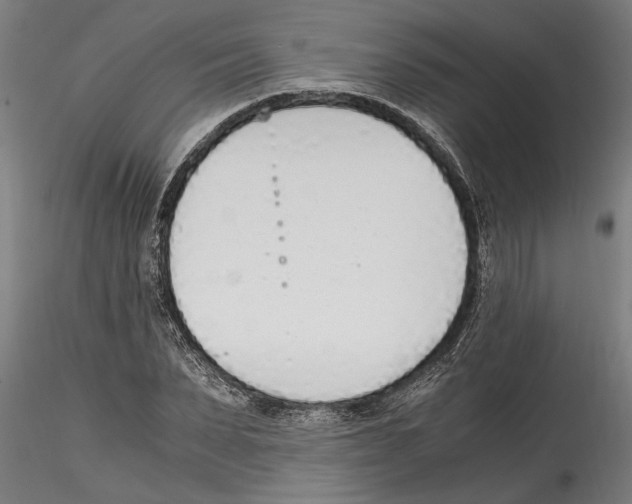 X0000114600879200911301421