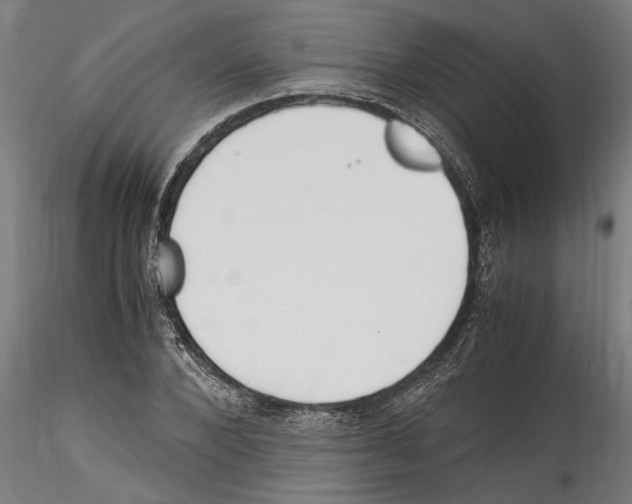 X0000114600880200911301421