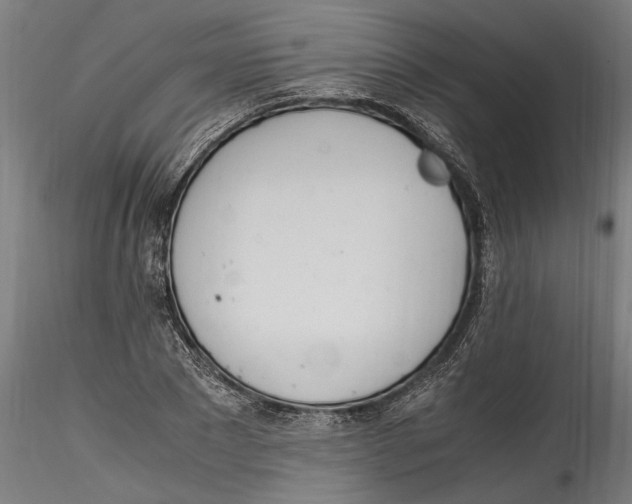 X0000114600881200911301421