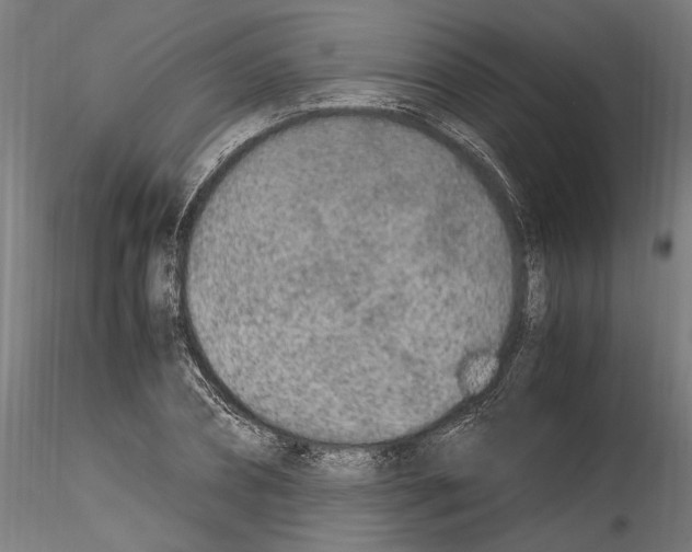 X0000114600882200911301421