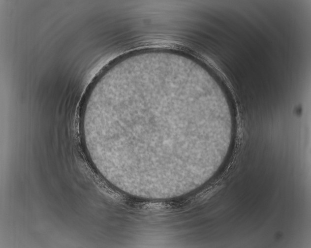 X0000114600883200911301421