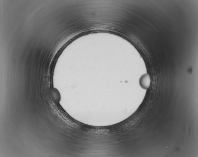 X0000114600884200911301421