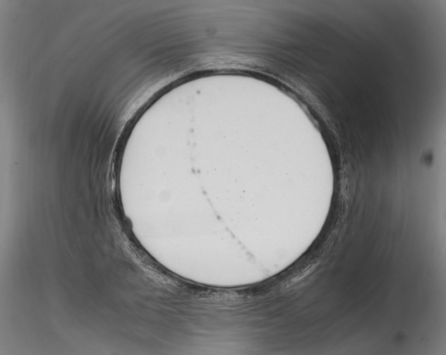 X0000114600885200911301421