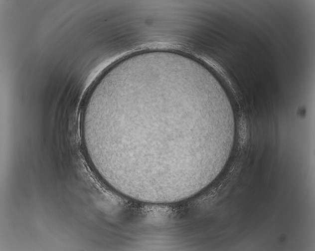 X0000114600886200911301420