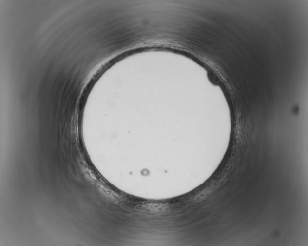 X0000114600888200911301420