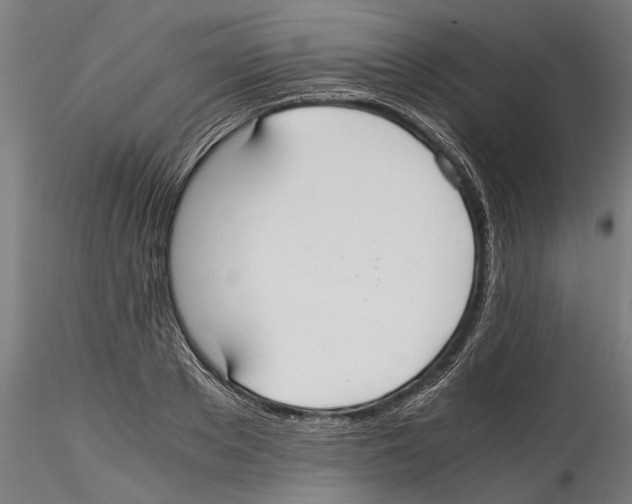 X0000114600889200911301420