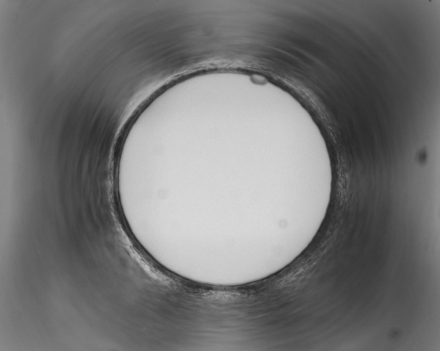 X0000114600894200911301420