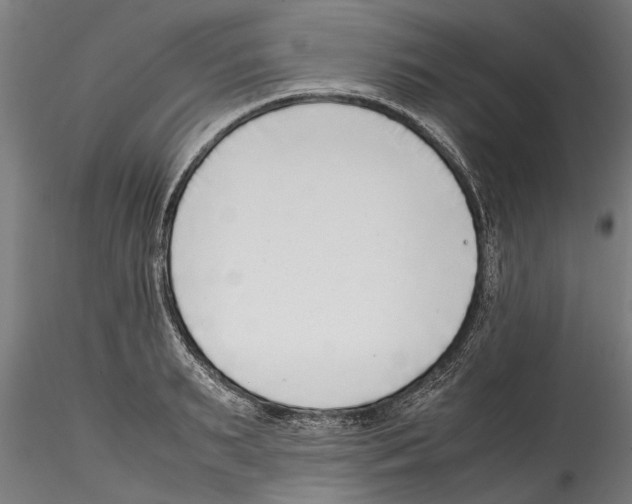 X0000114600895200911301420