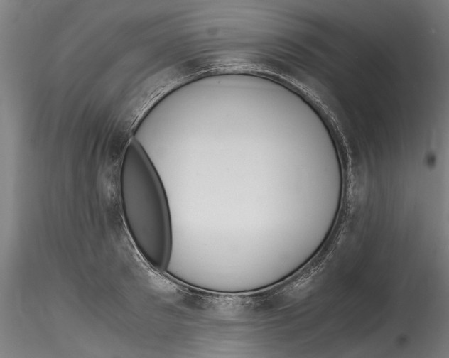 X0000114600897200911301420