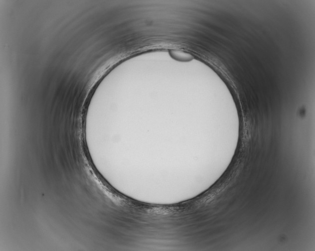 X0000114600898200911301420