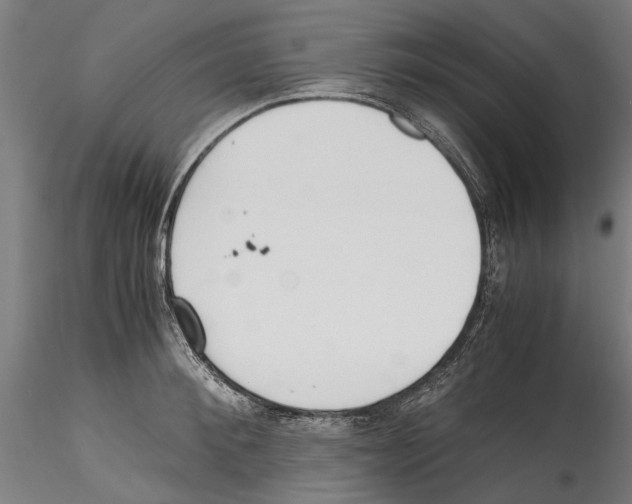 X0000114600900200911301420