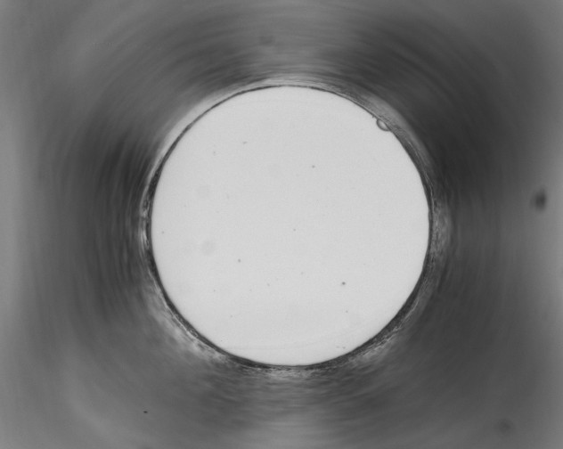 X0000114600908200911301420