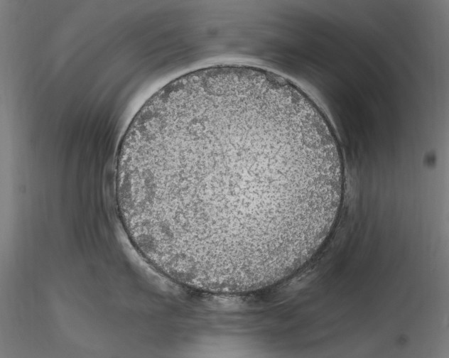 X0000114600911200911301420