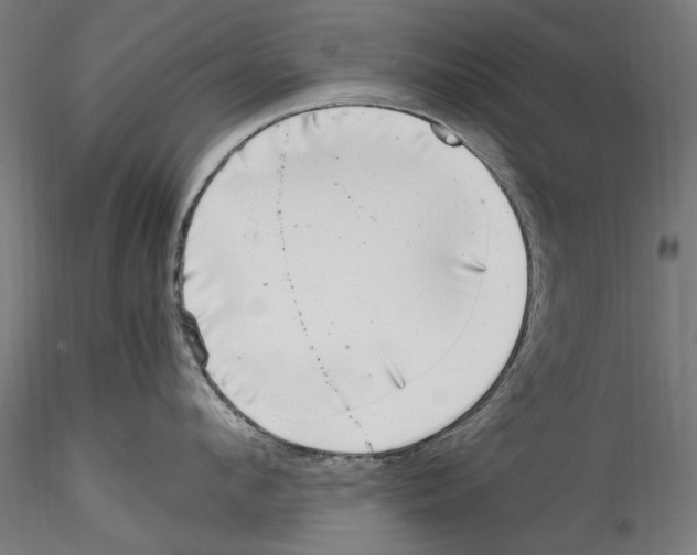 X0000114600912200911301420