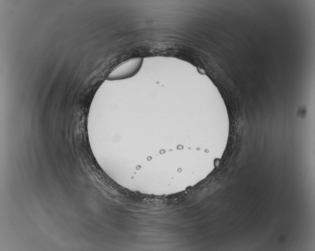 X0000114600914200911301419