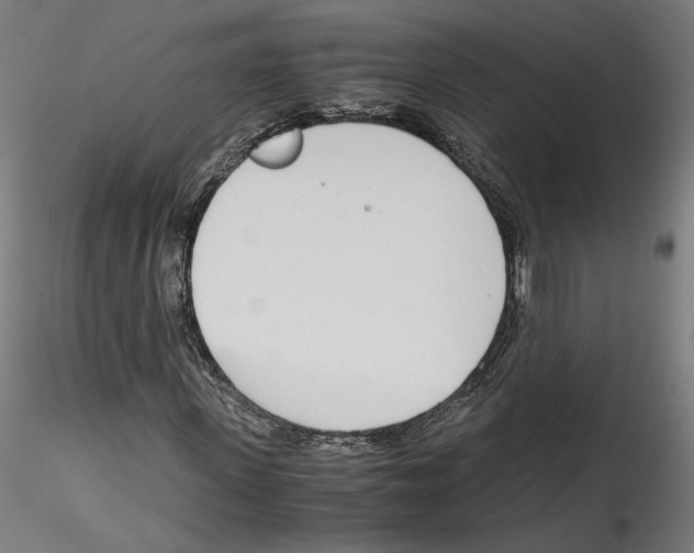 X0000114600915200911301419