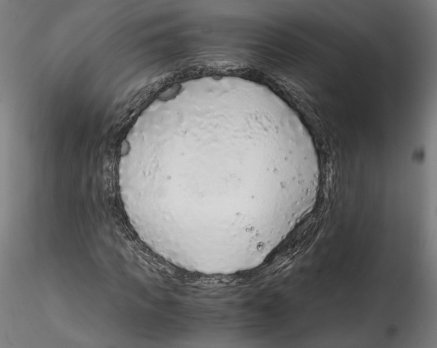 X0000114600917200911301419