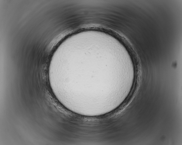 X0000114600921200911301419