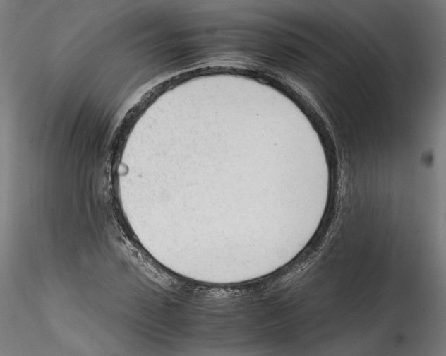 X0000114600923200911301419