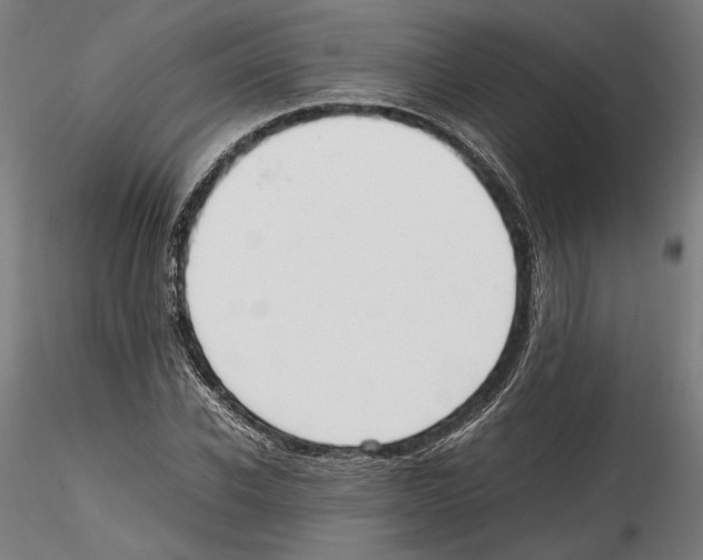 X0000114600926200911301419