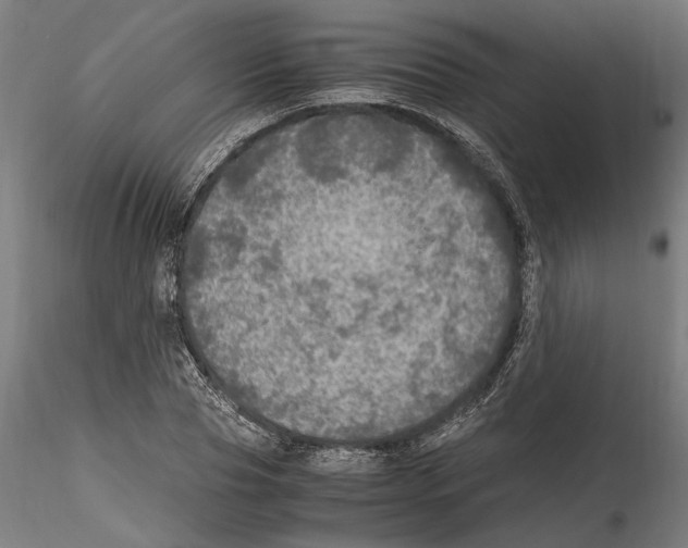 X0000114600929200911301420