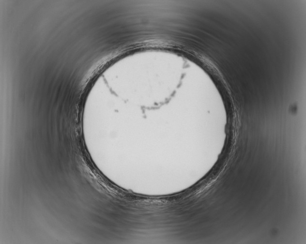 X0000114600930200911301420