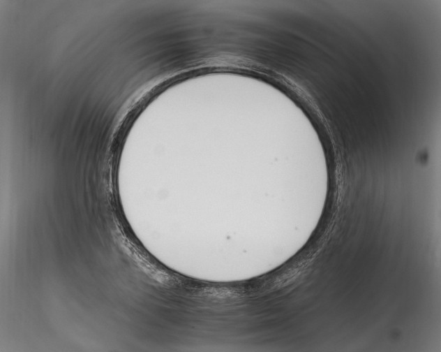 X0000114600931200911301420